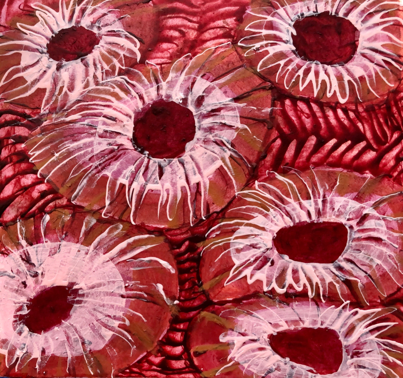 Patti Dougherty
