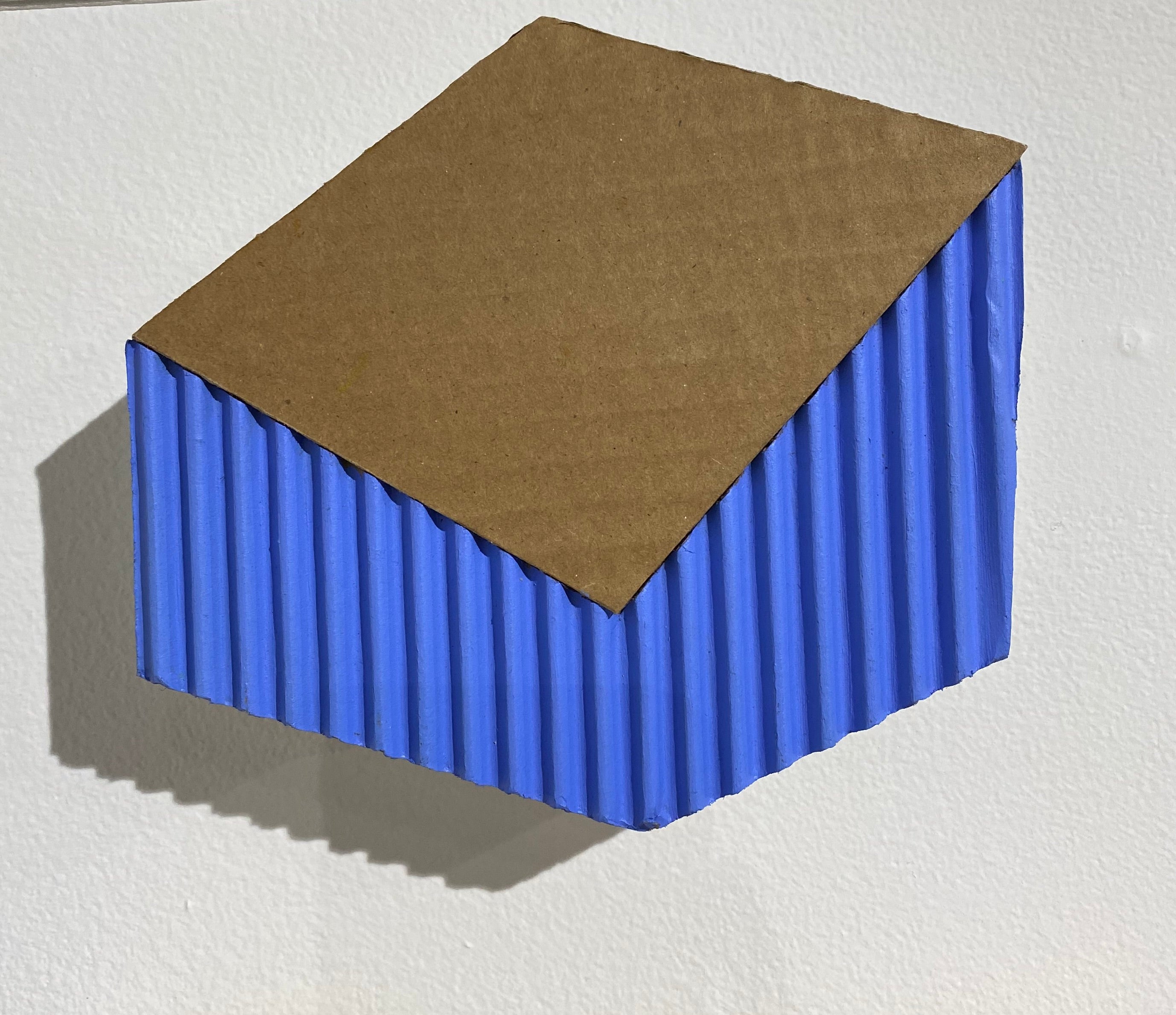 ArtePovera / LITTLE BLUE by Dolores Poacelli