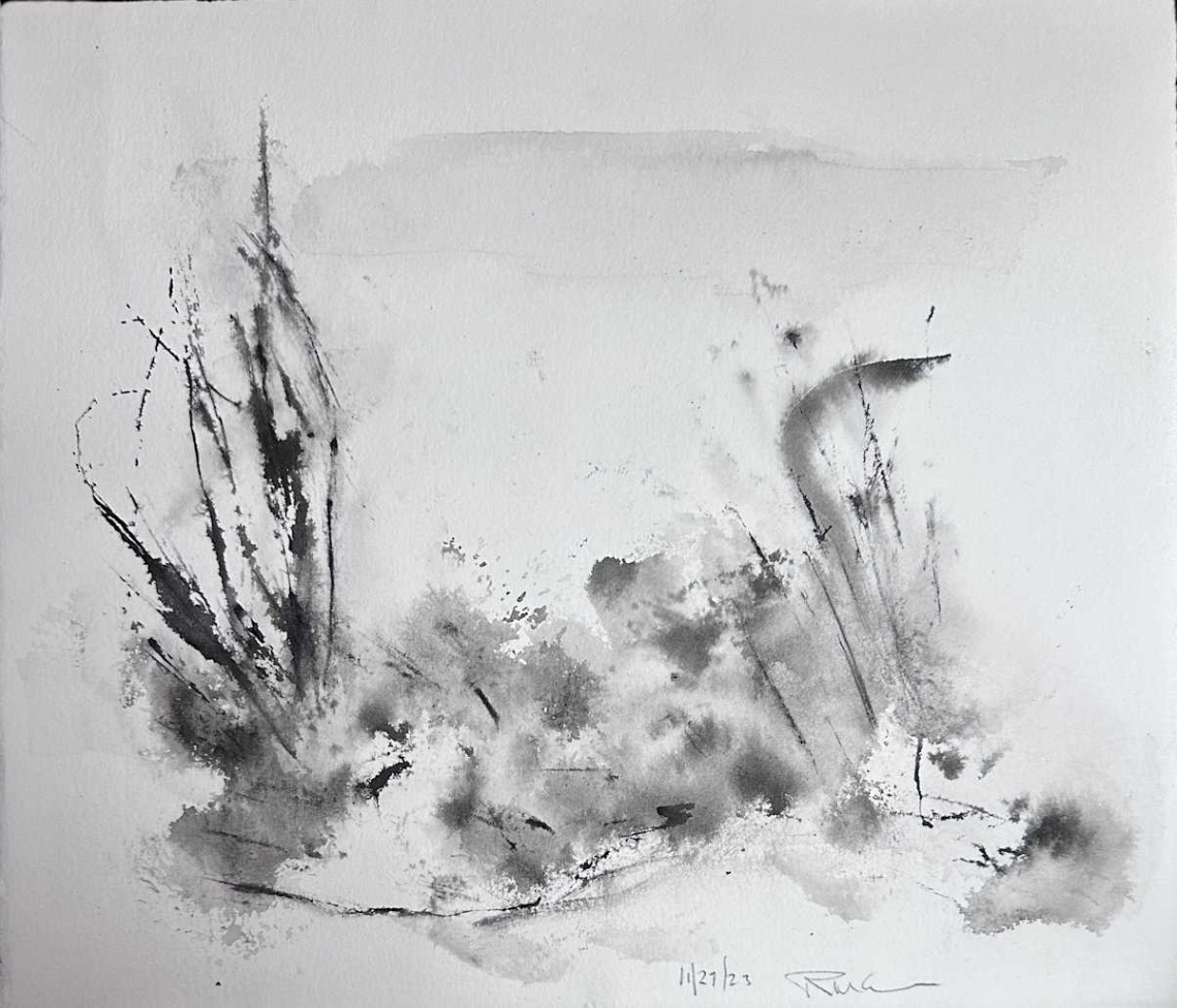 11_27_23 by RM Cimini