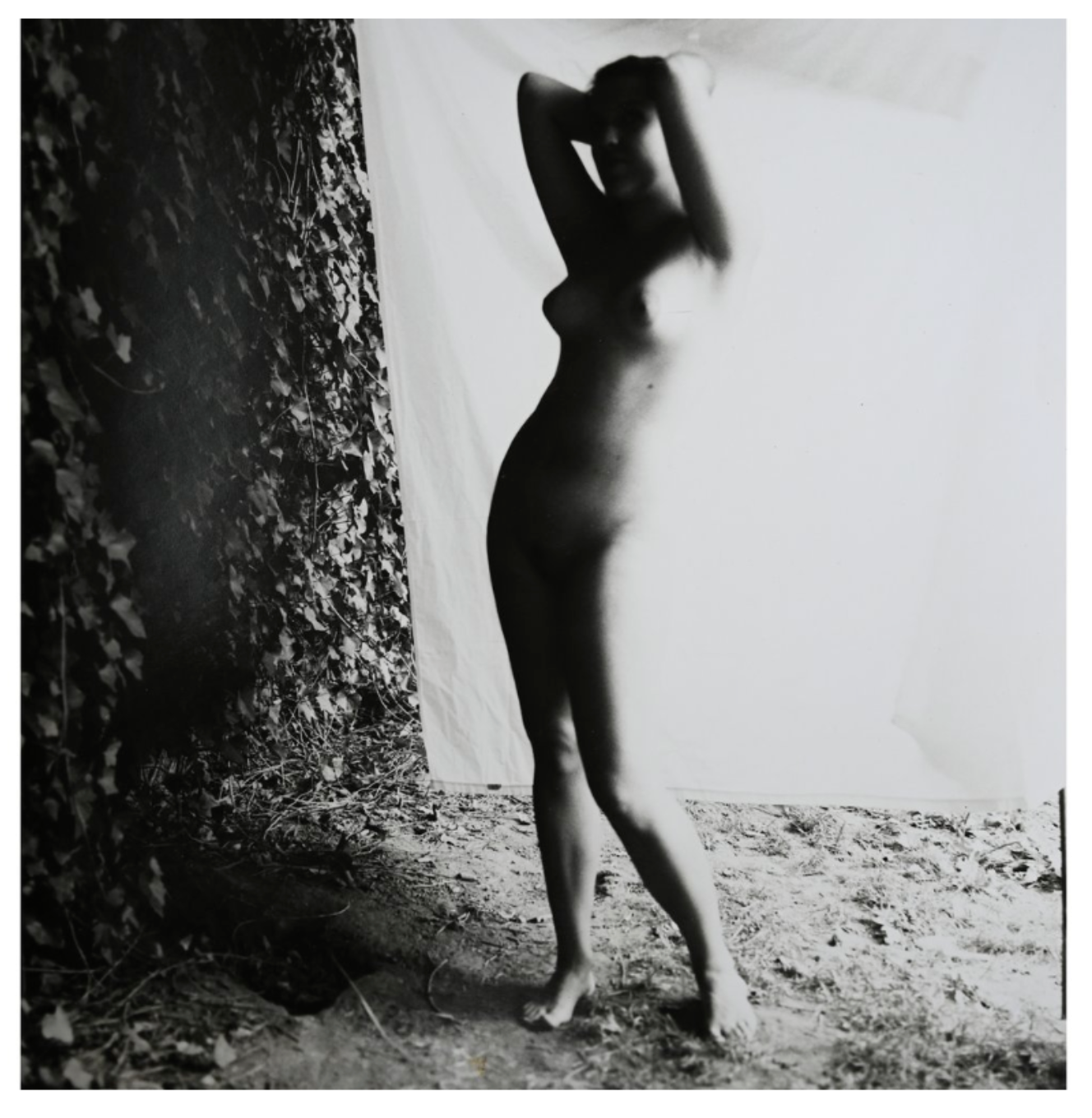 No 1642 by Leah Macdonald