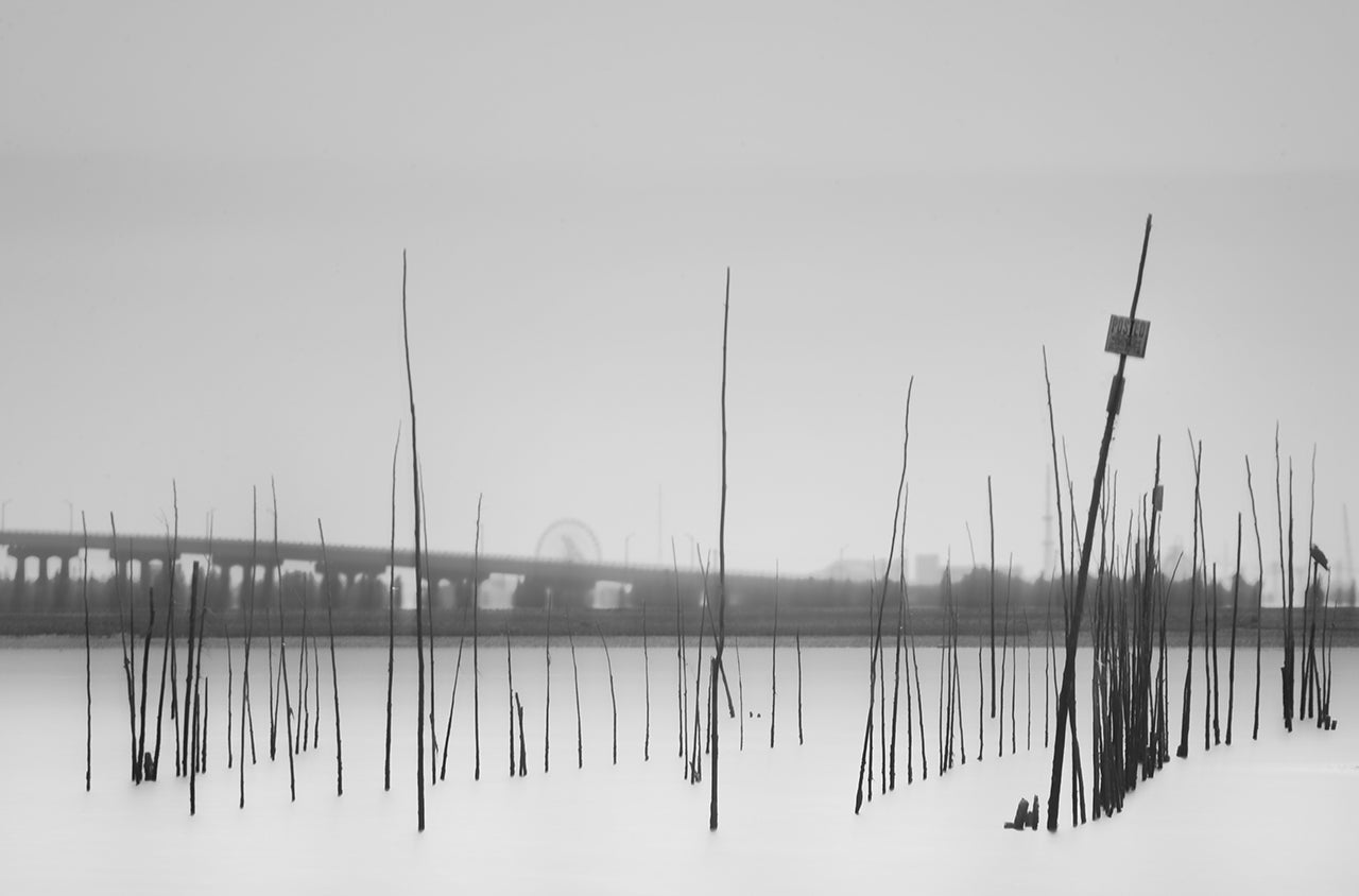 Vibrissae by Geoffrey Ansel Agrons