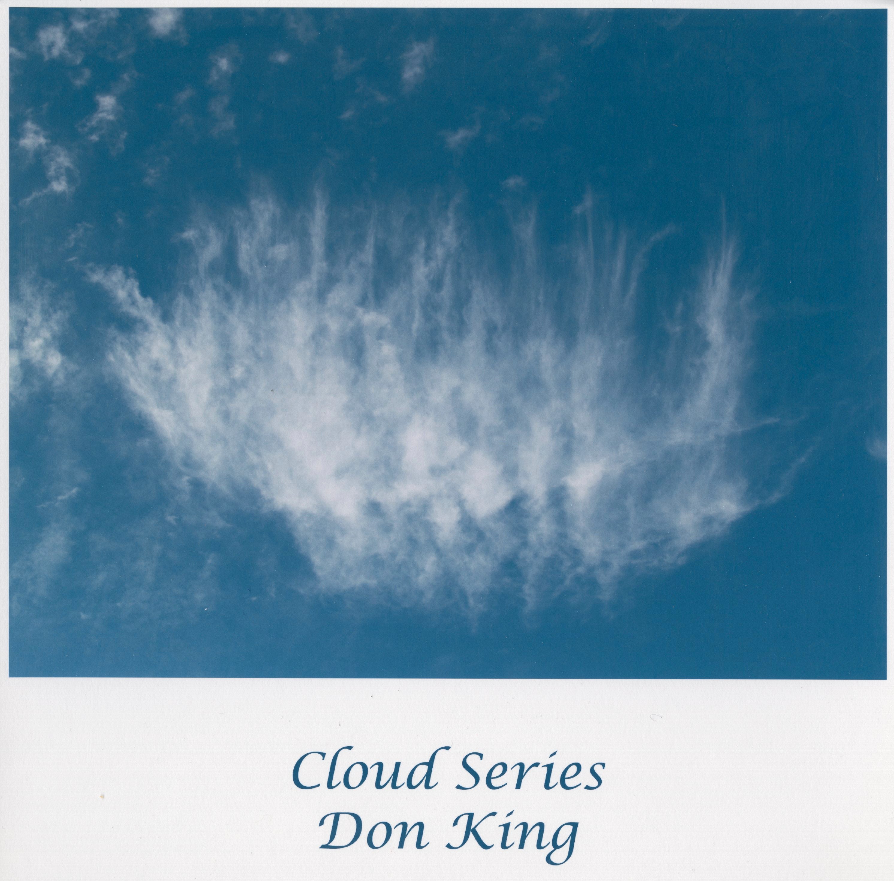 Cloud Series: Don King by Stephen Perloff