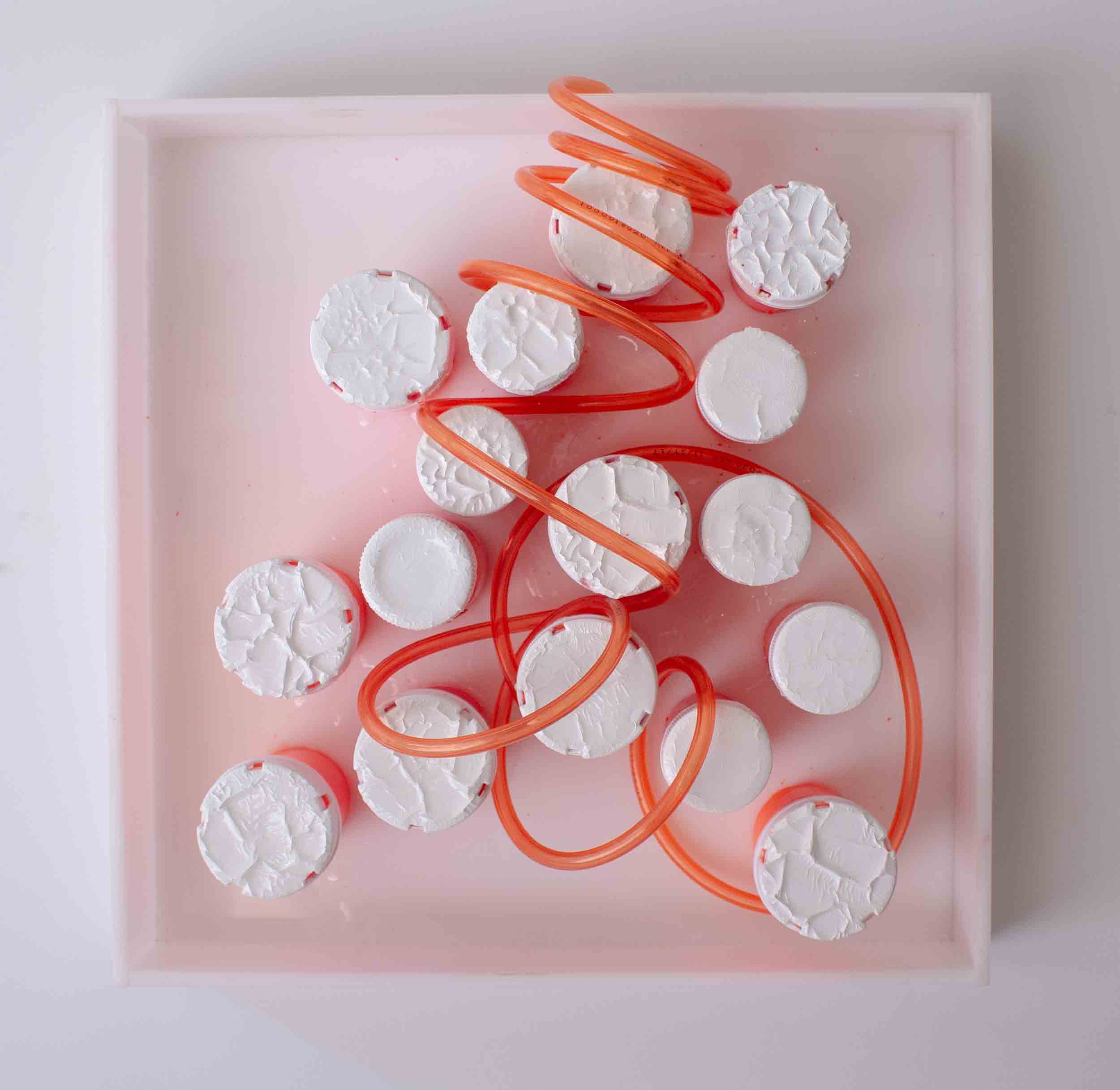 Jocelyn Gabrynowicz Hill