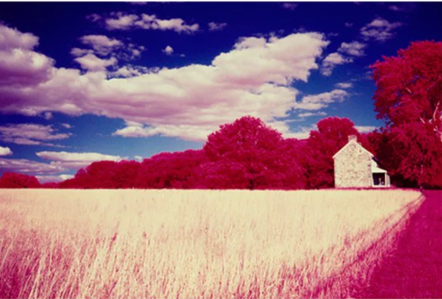 Pantone Color of the Year: Viva Magenta!