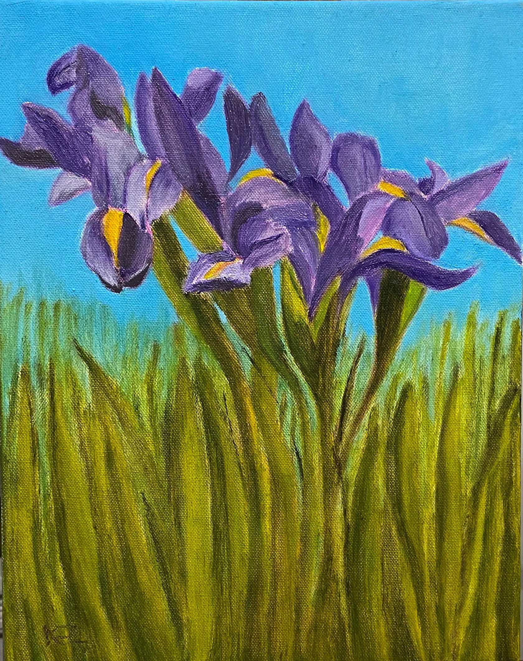 Irises by Deborah Zuchman