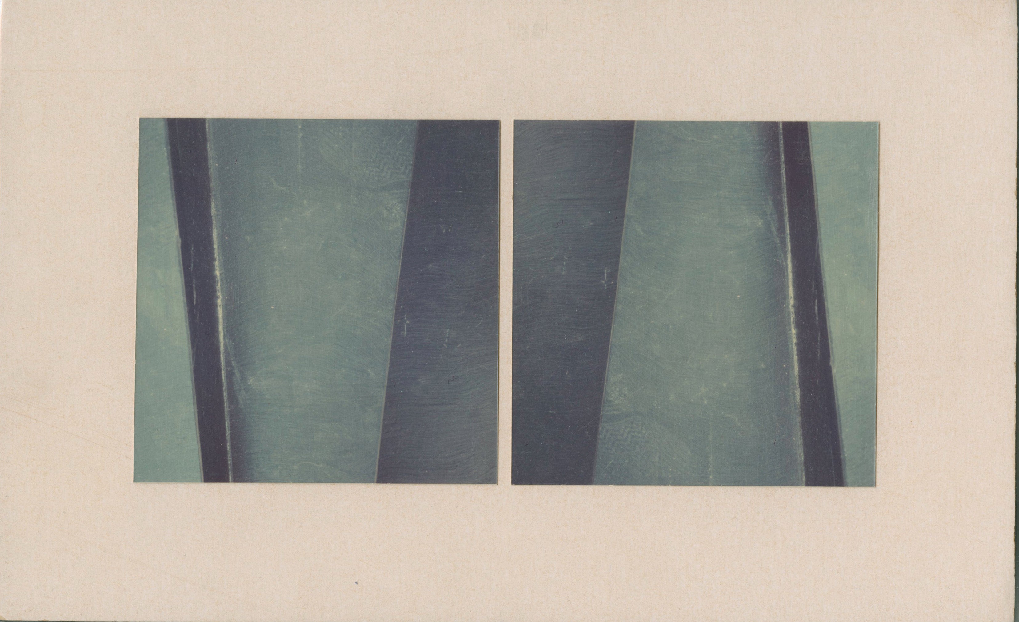 Backwards by David Slovic