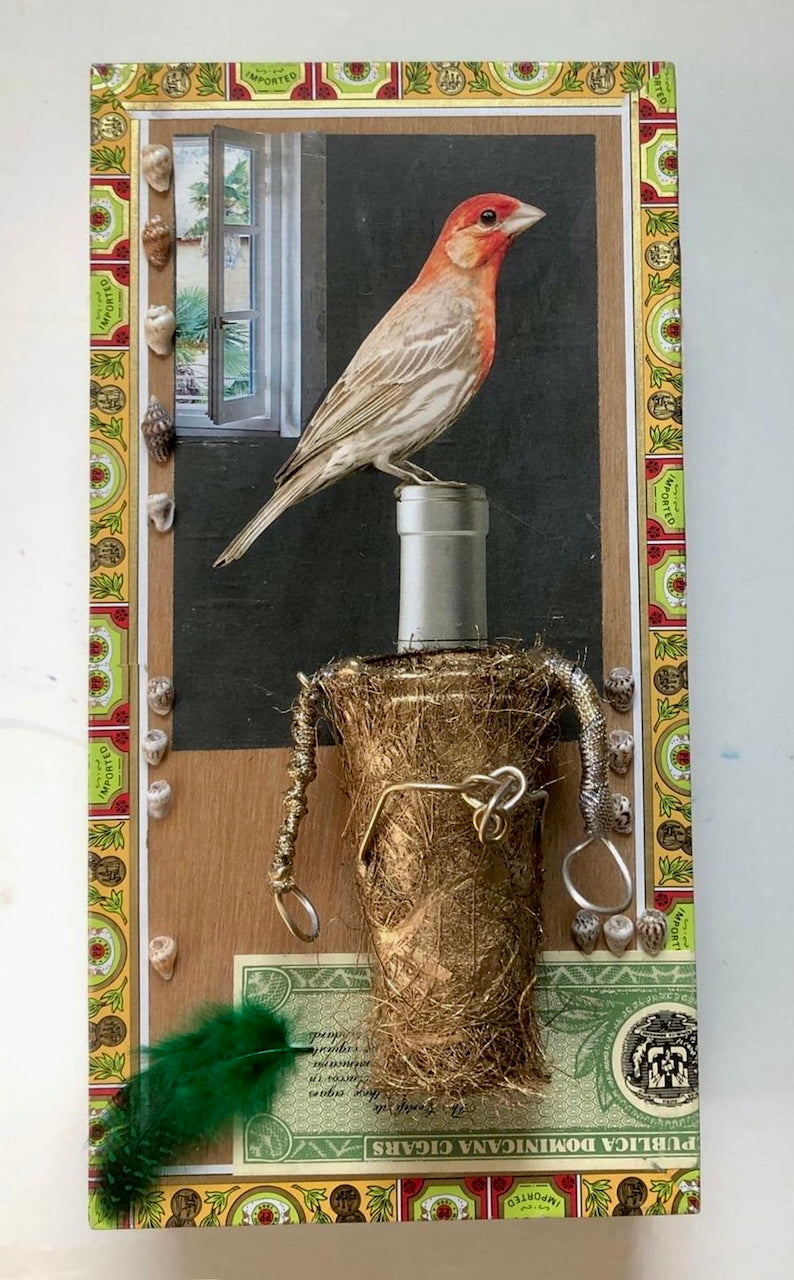 A Special Perch by Sandra Benhaim