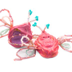 Rosey Saturniida by Candice Benton