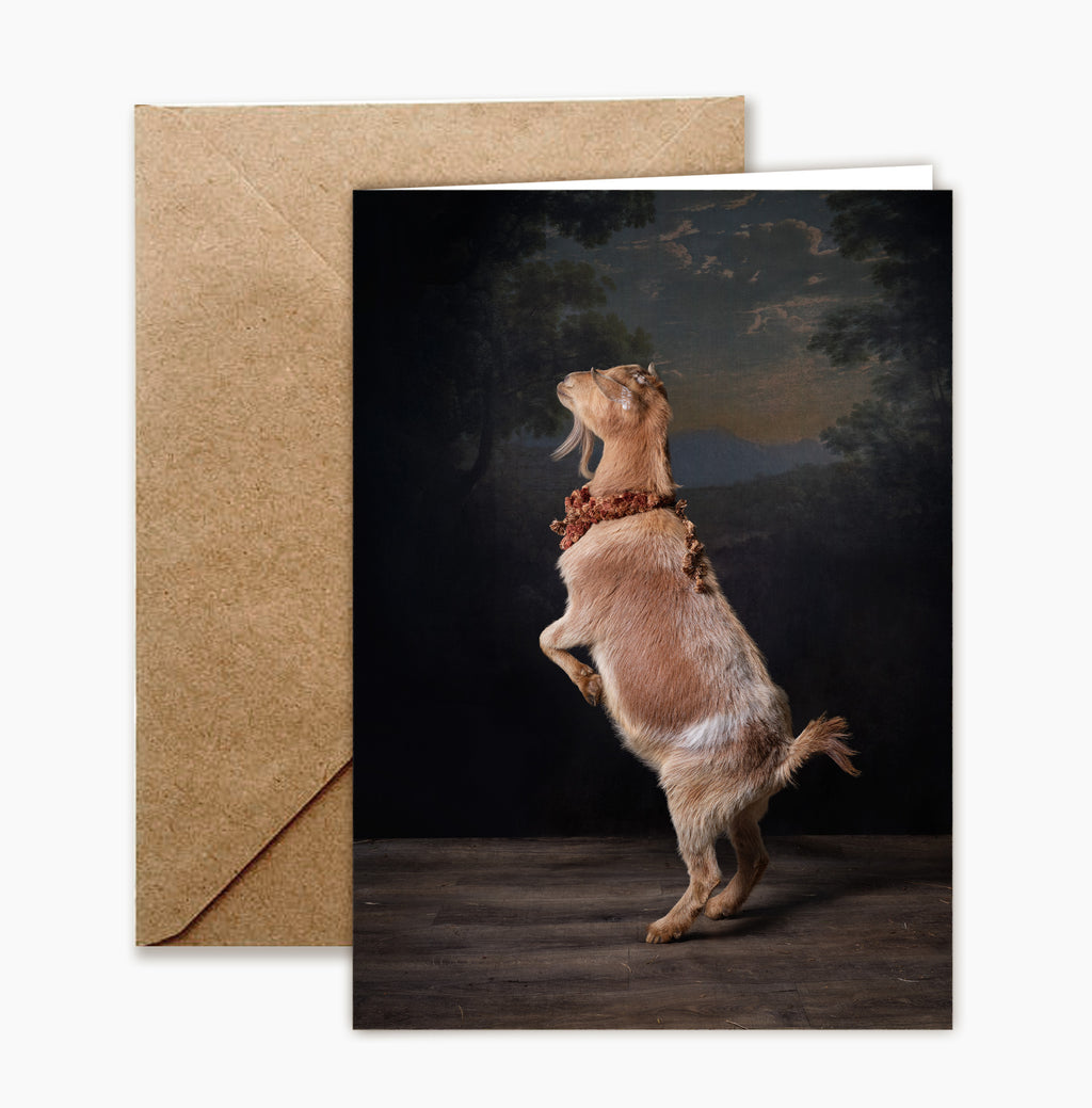 Greeting Card: Goat Portrait Set by Claire Rosen