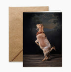 Greeting Card: Goat Portrait Set by Claire Rosen