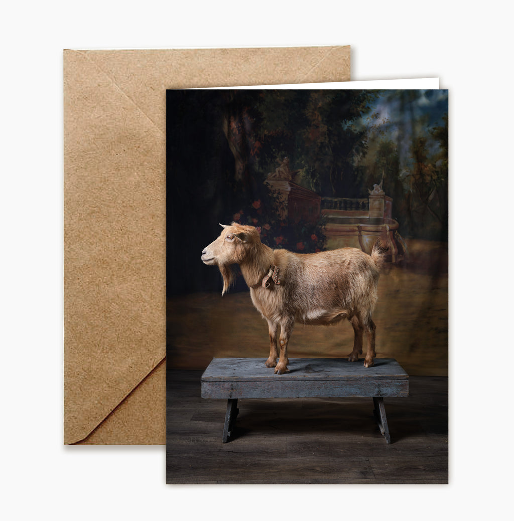 Greeting Card: Goat Portrait Set by Claire Rosen