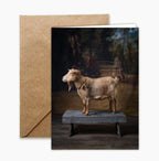 Greeting Card: Goat Portrait Set by Claire Rosen