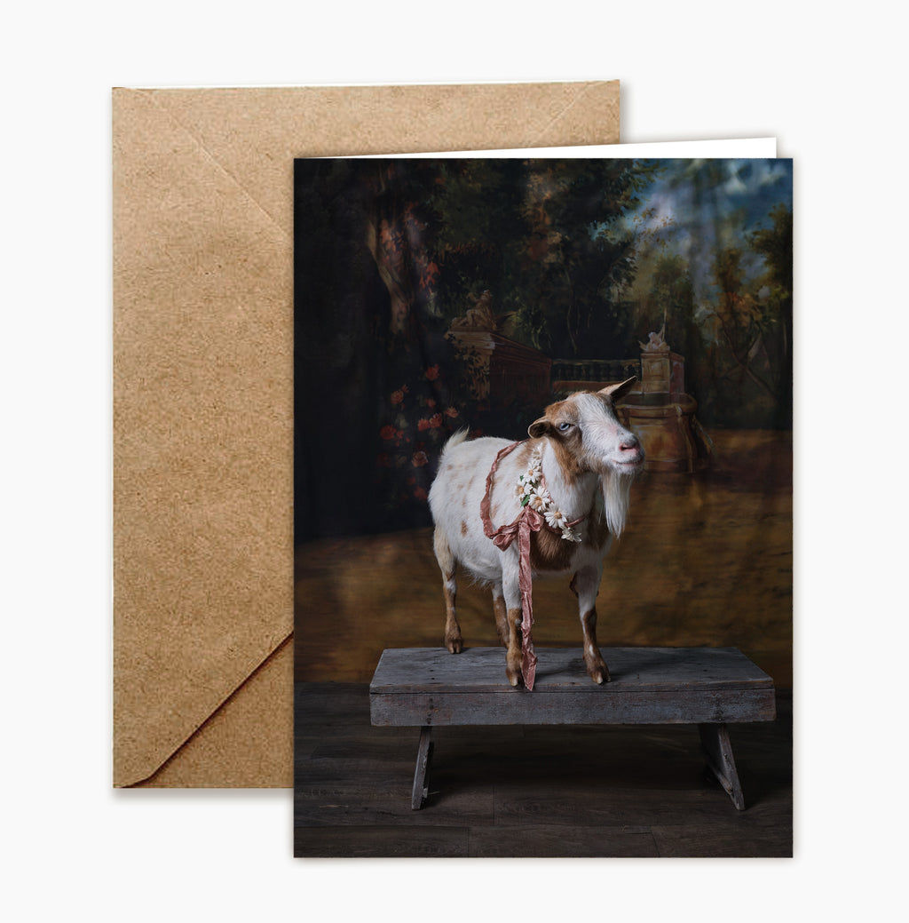 Greeting Card: Goat Portrait Set by Claire Rosen