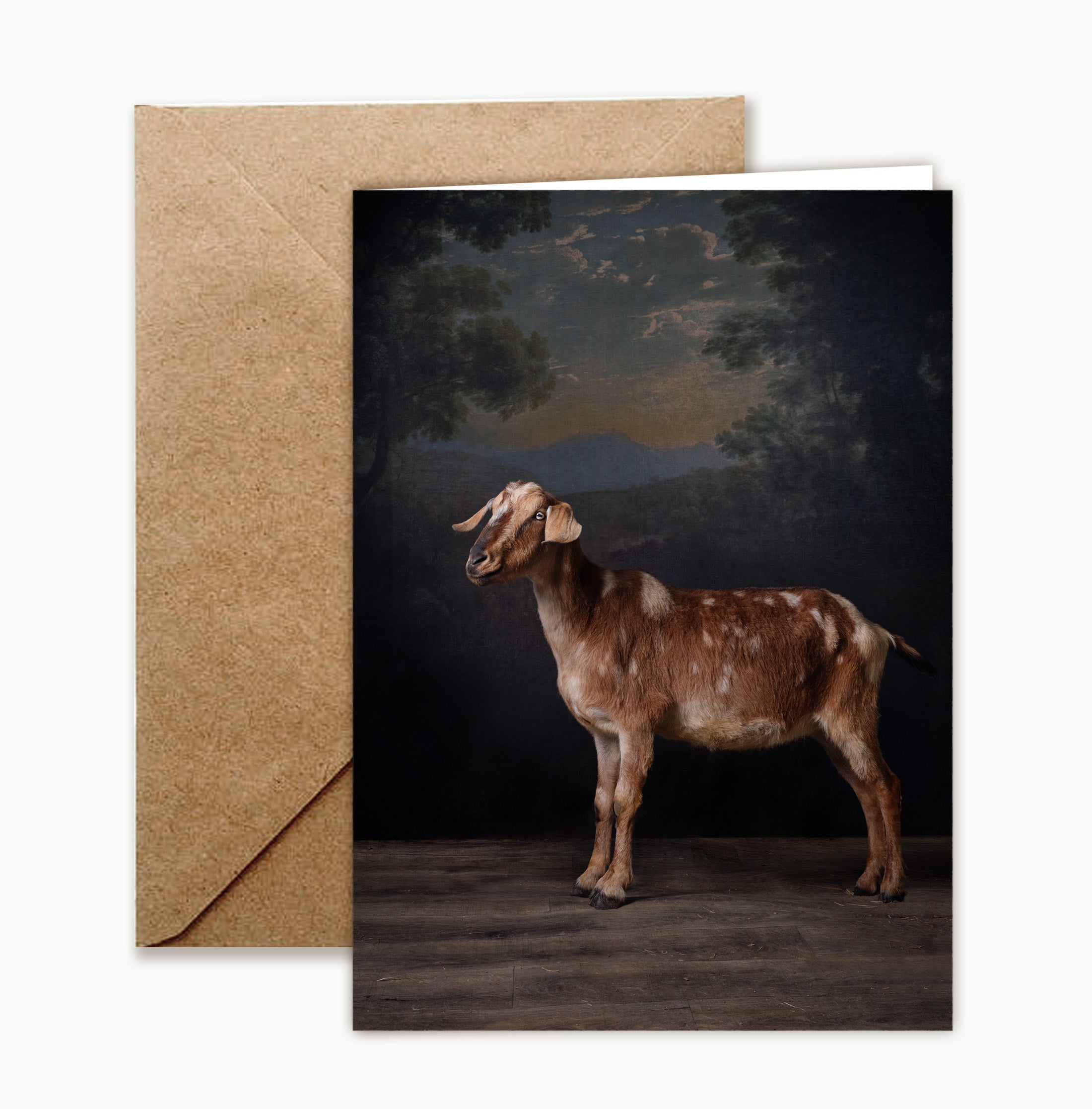 Greeting Card: Kyoshi No 7281 by Claire Rosen
