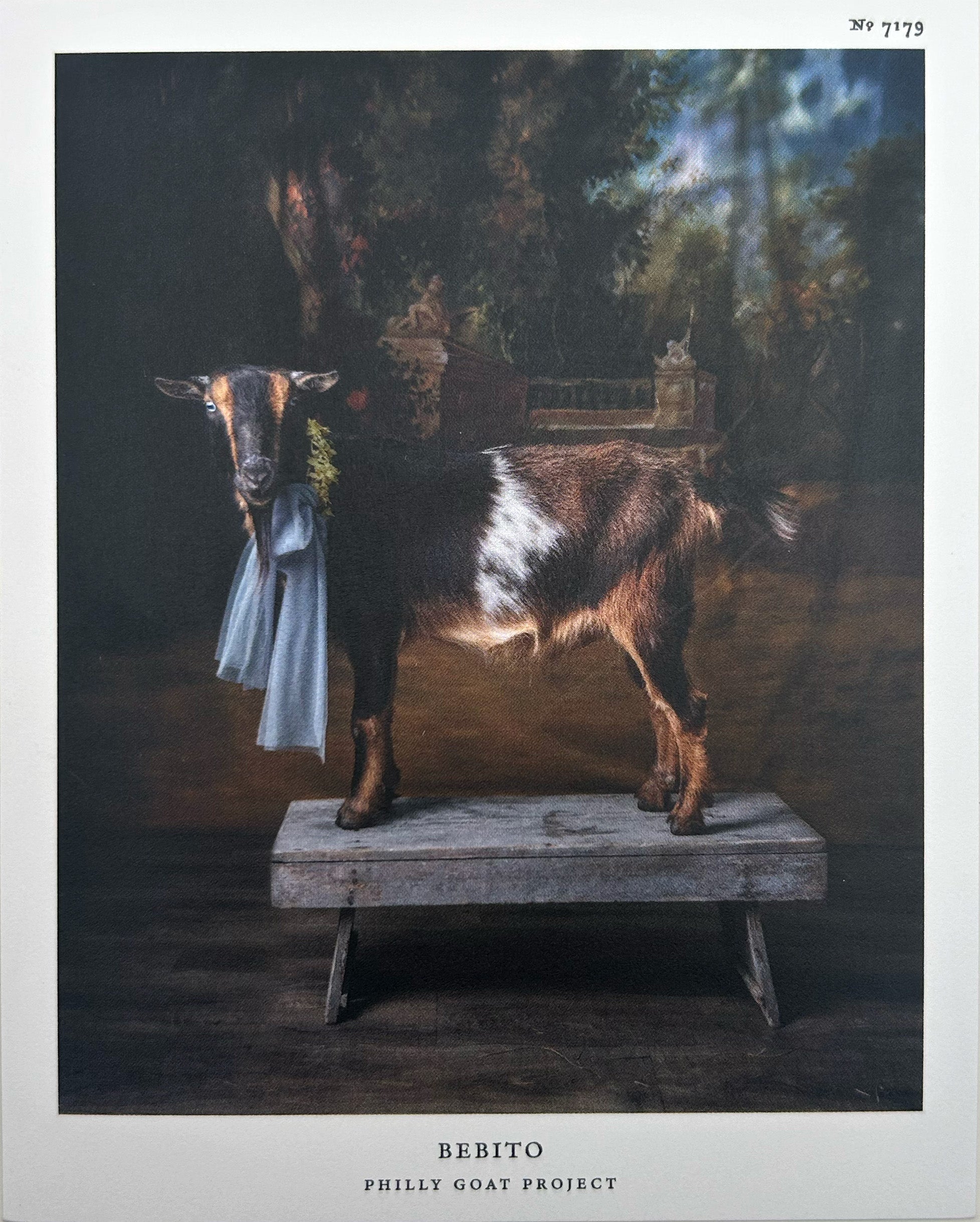 Postcard: Bebito by Claire Rosen