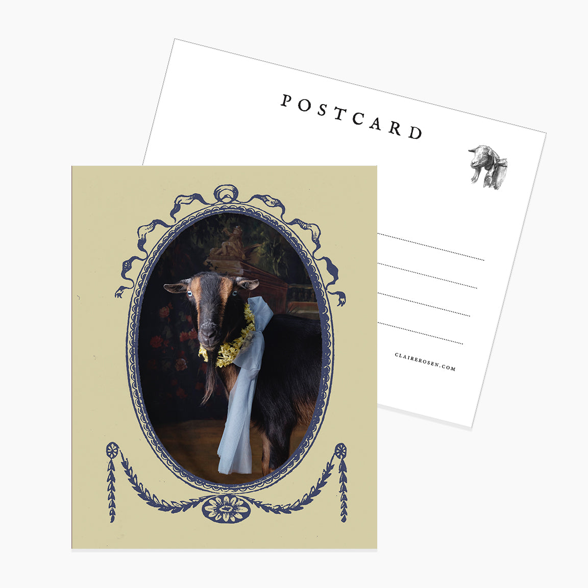 Postcard: Framed Bebito by Claire Rosen