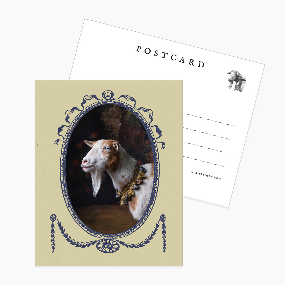 Postcard: Framed Violet by Claire Rosen