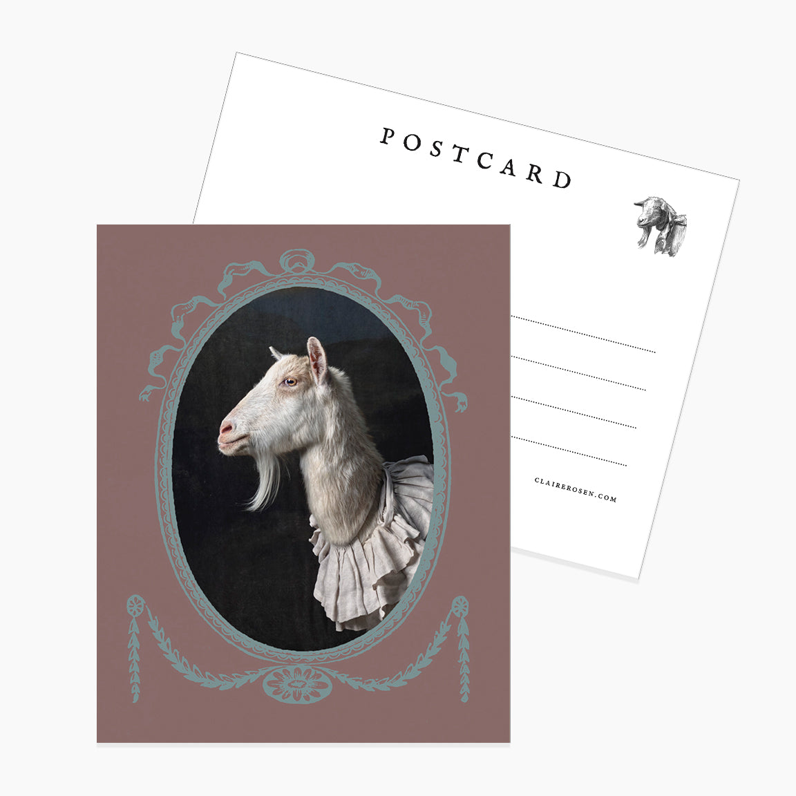 Postcard: Framed Oliver by Claire Rosen