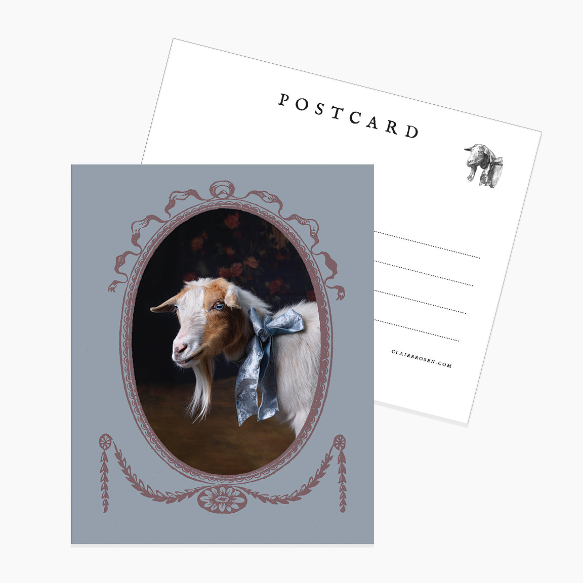 Postcard: Framed Ivy by Claire Rosen