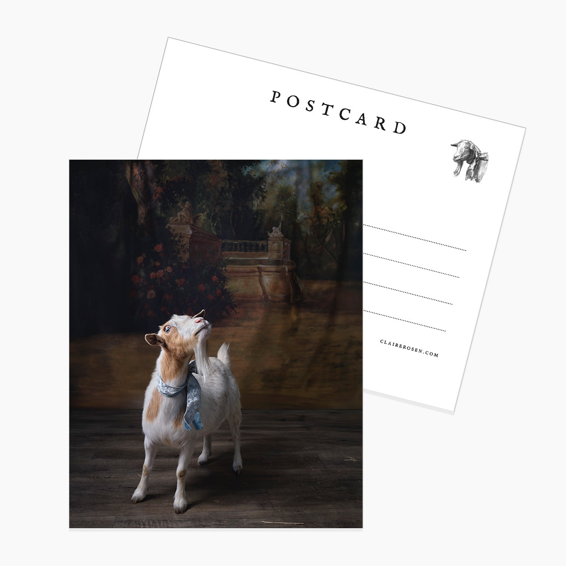 Postcard: Ivy by Claire Rosen
