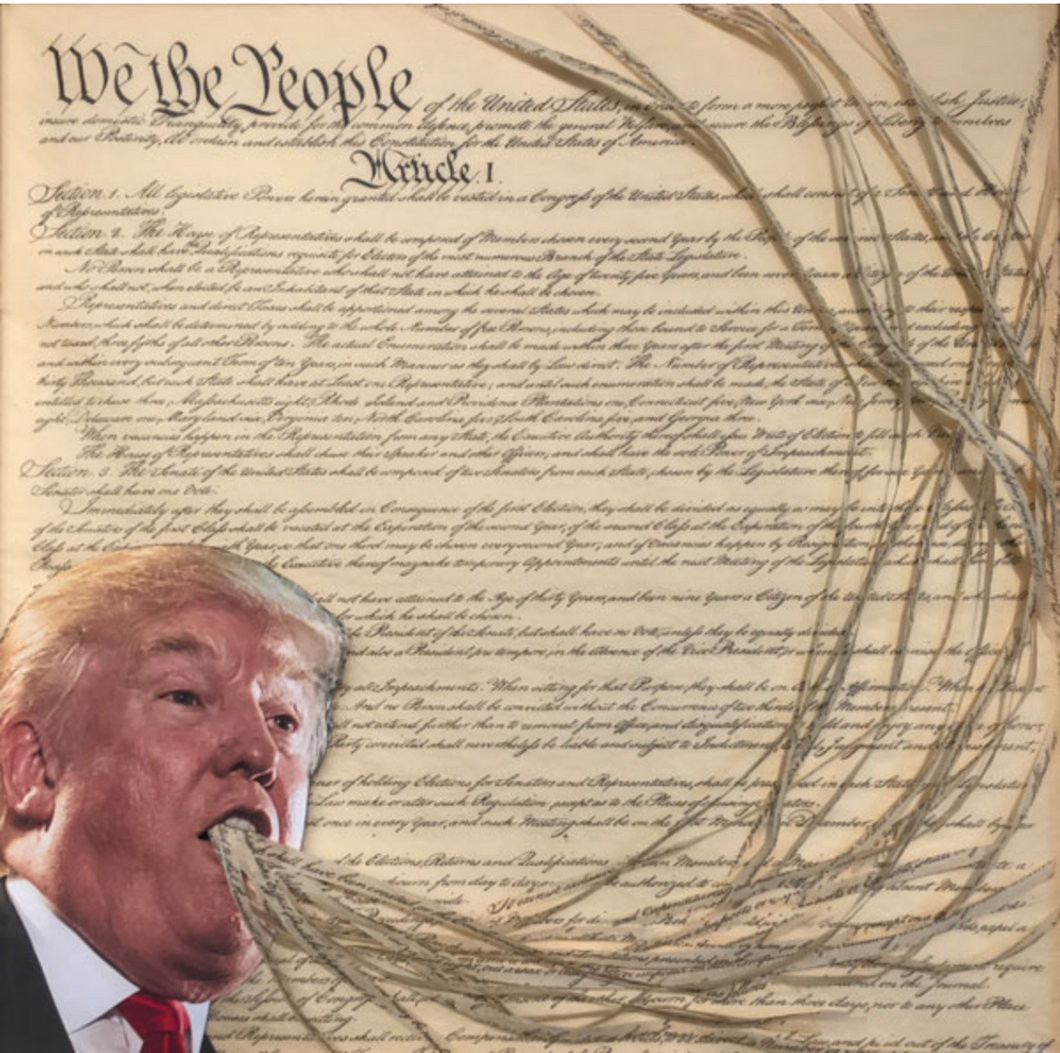 Trumpart: Constitutional Crisis - Unframed, by Florence Weisz