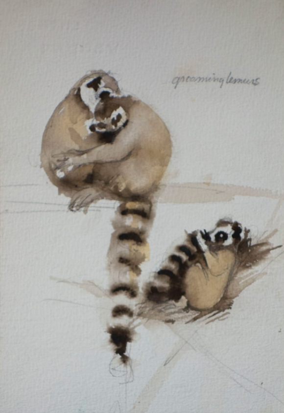 Grooming Lemurs by Bettina Clowney