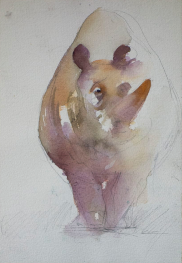 Rhino by Bettina Clowney