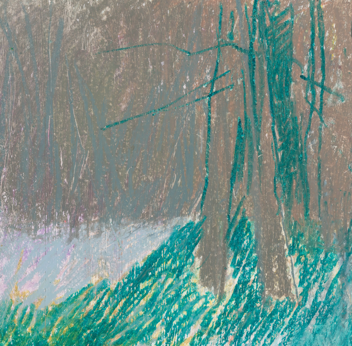 February Woods by Barbara Schaff