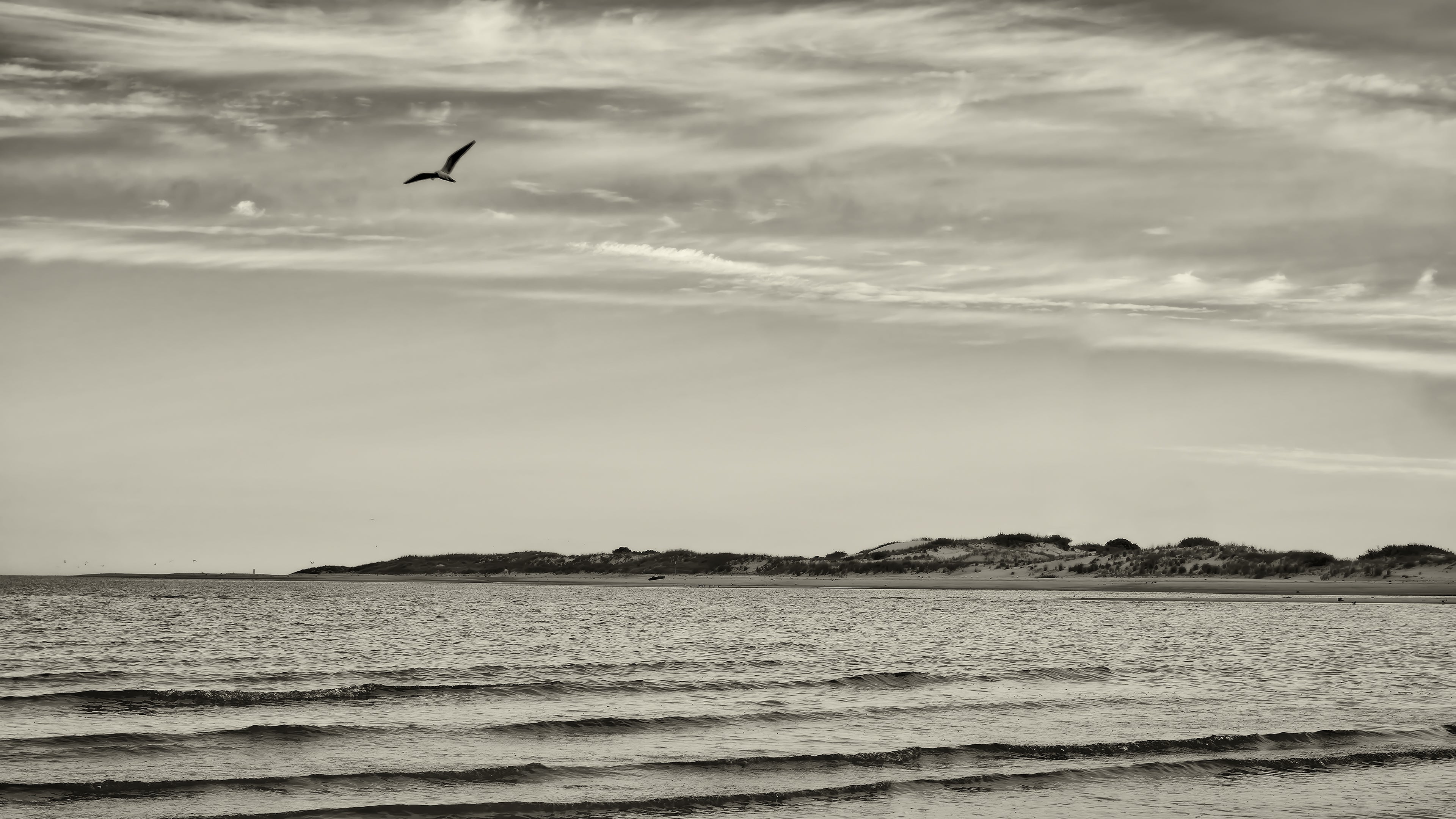 (untitled) Still Frame from Traces by John Singletary