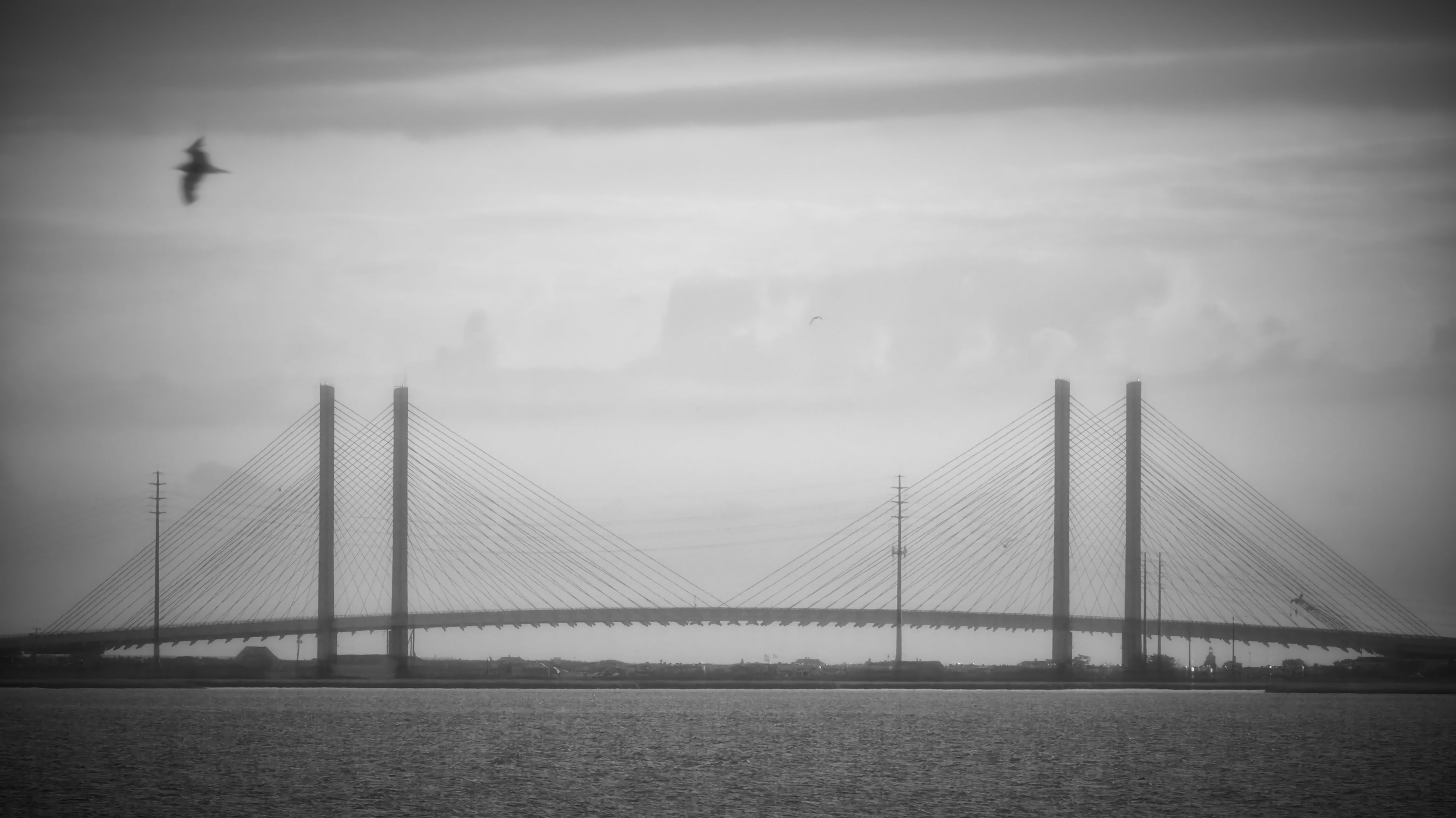 (untitled) Still Frame from Traces by John Singletary