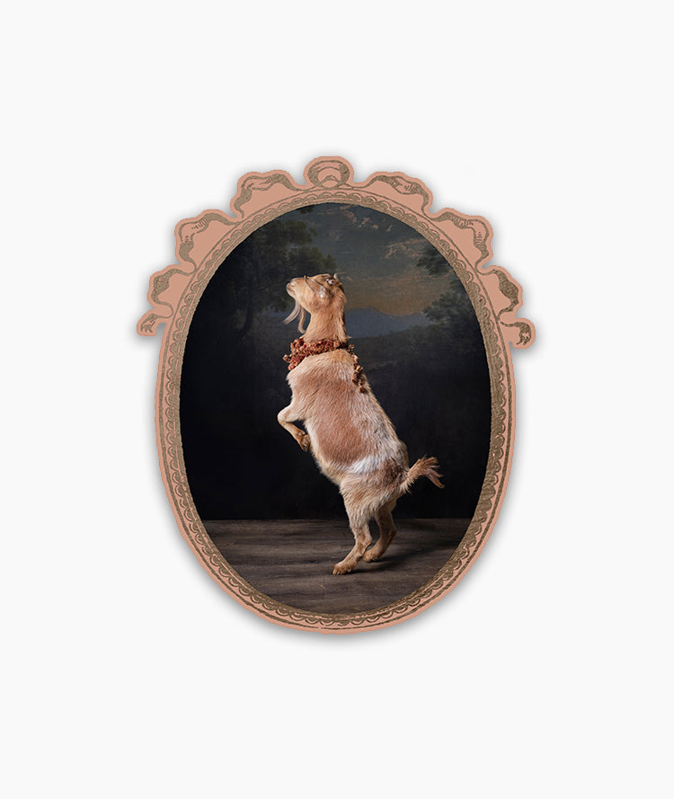 Sticker: Anthony by Claire Rosen