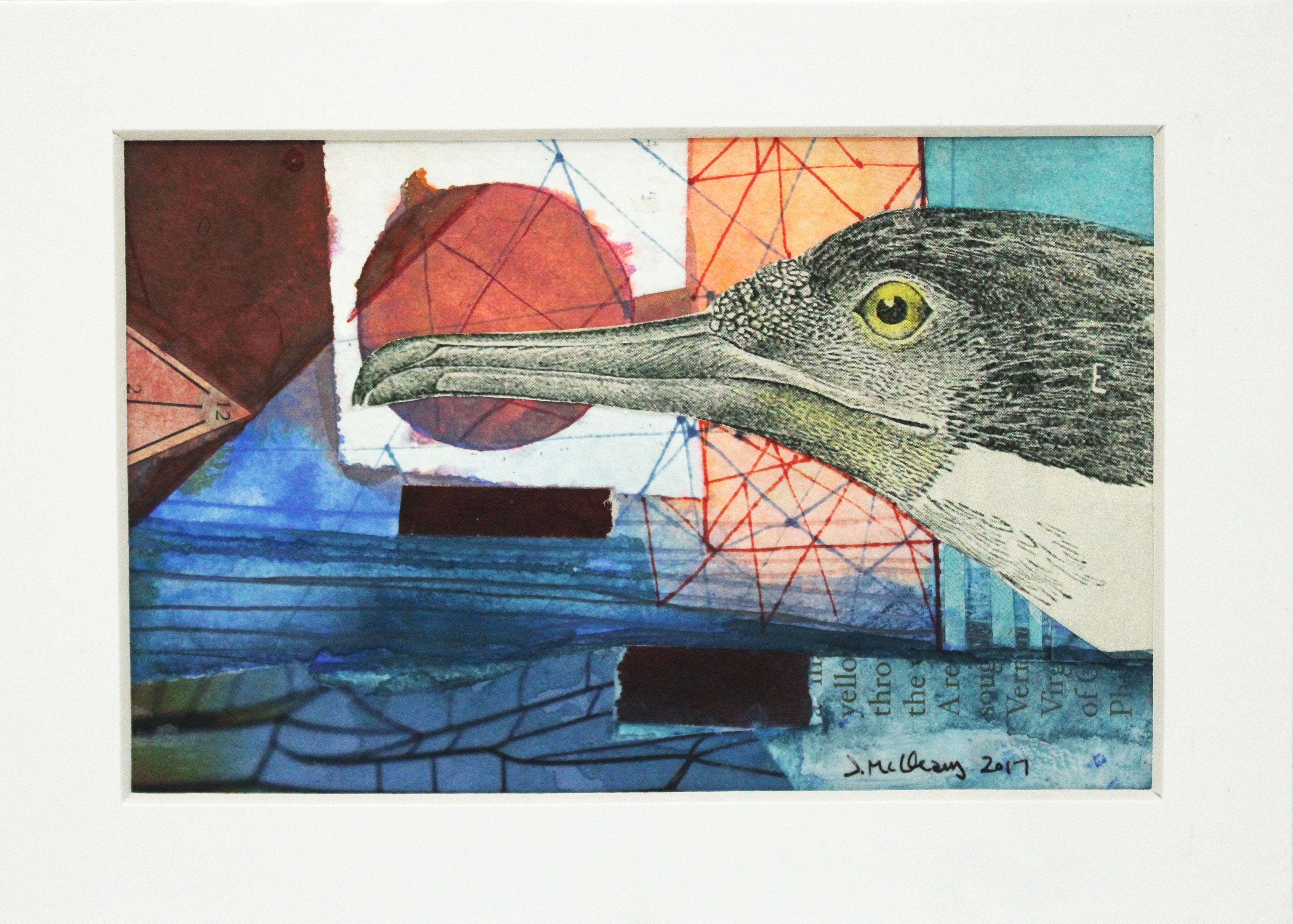 Yellow Eye by Jen McCleary