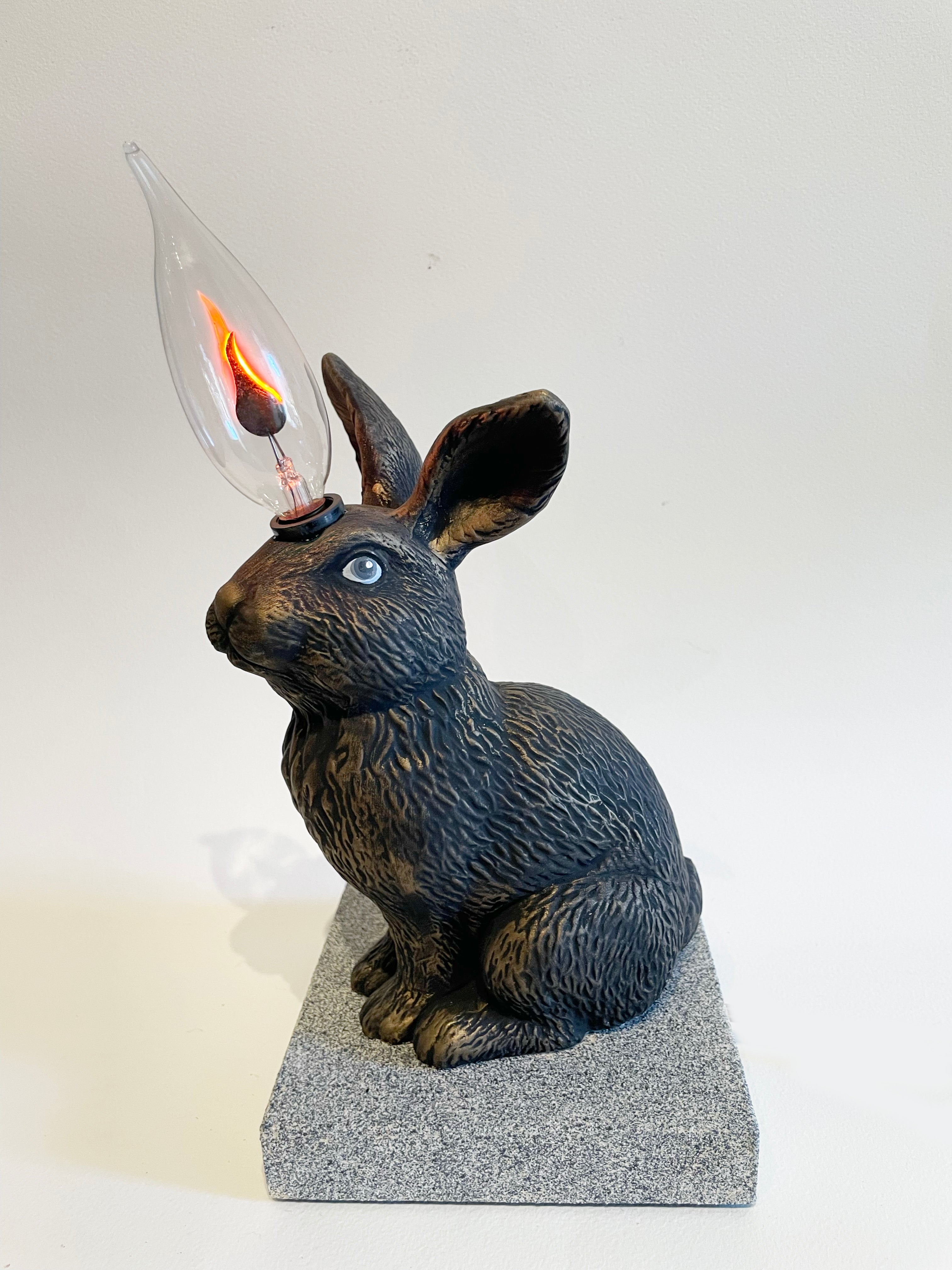 Electric Bunny by Michael Biello