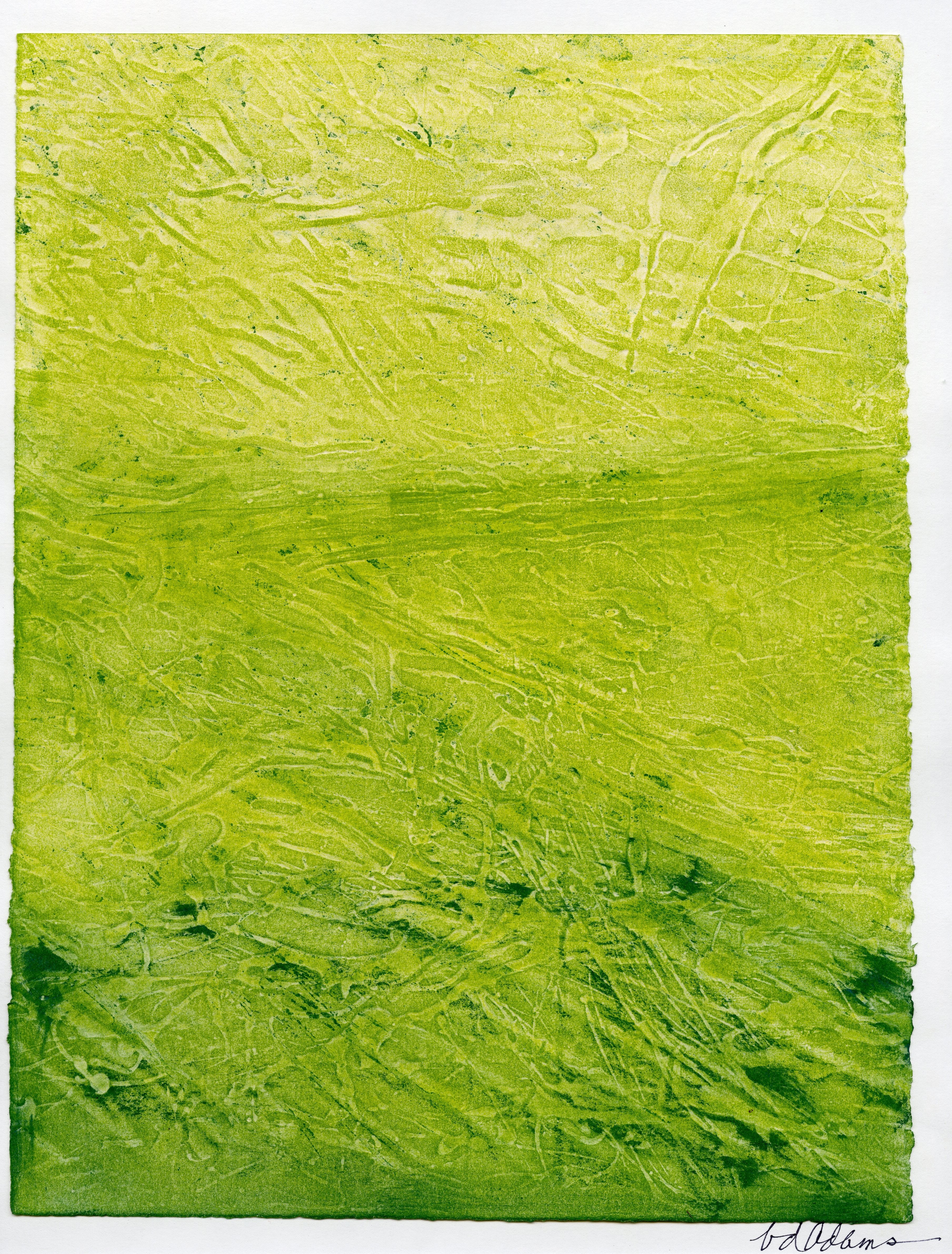 Untitled 22 by Bobbie Adams