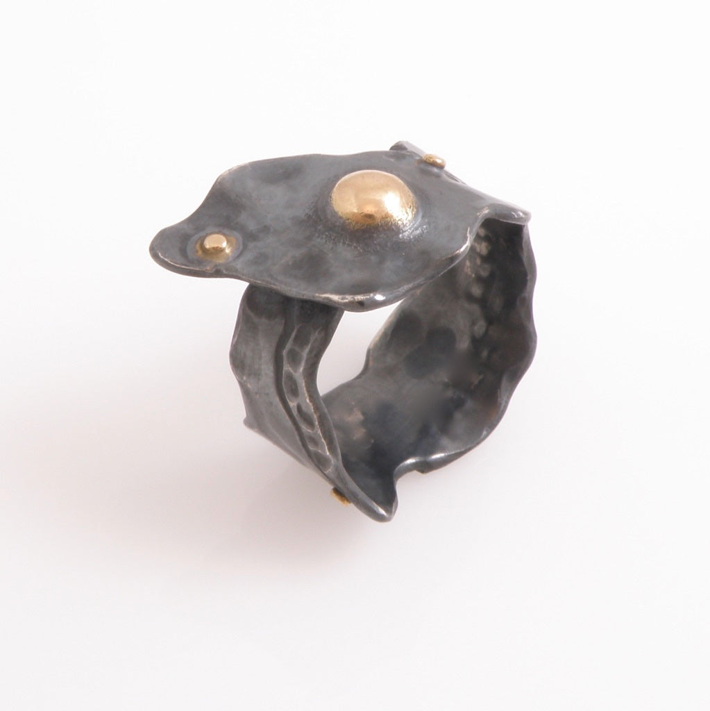 Untitled Ring by Rudy Lewis