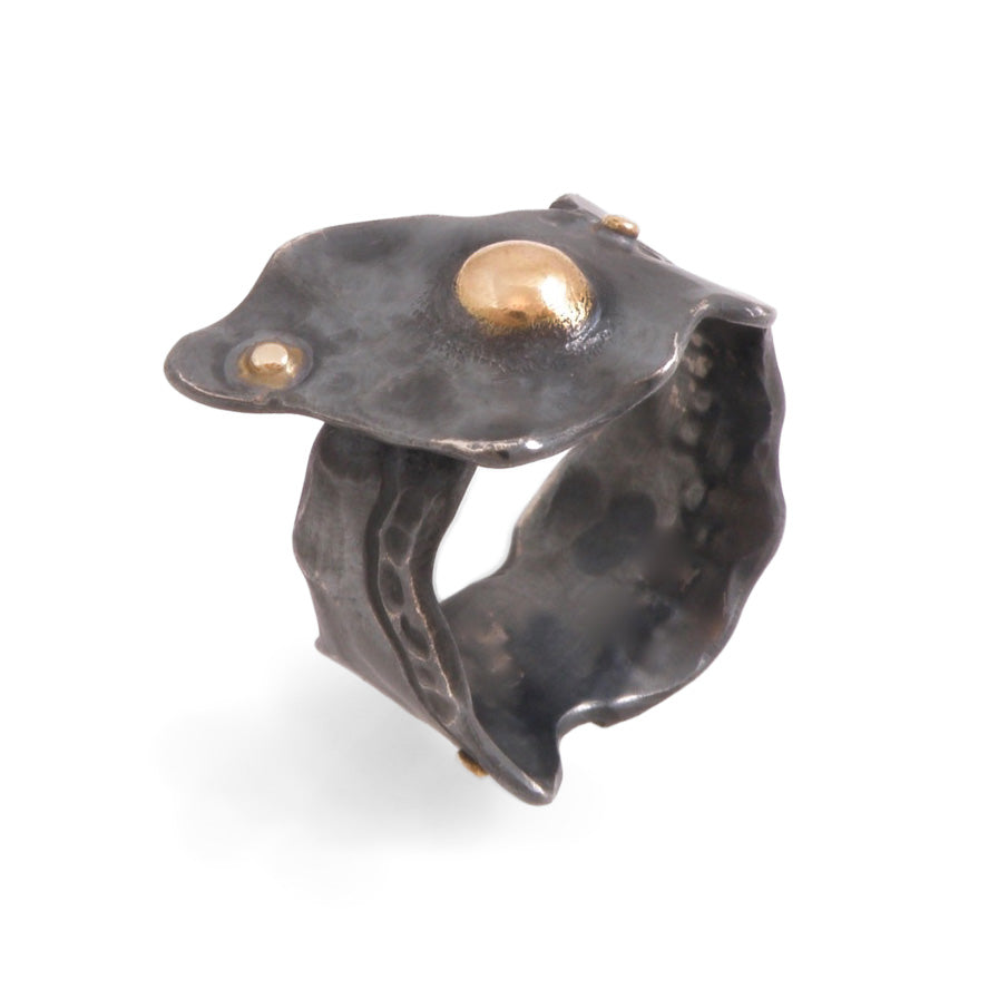 Untitled Ring by Rudy Lewis