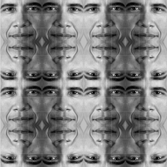 Obamart: Mirrored by Florence Weisz