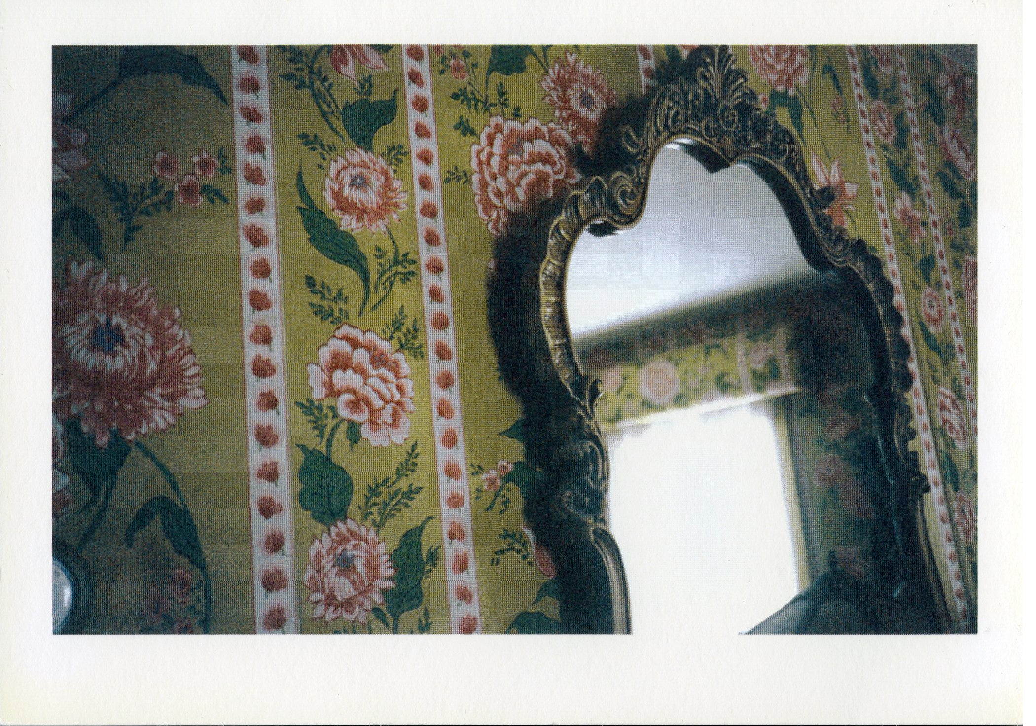 Candy Coated: Untitled by Candy Depew