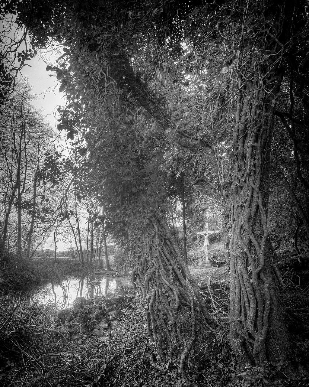 Flooded Grotto by Geoffrey Ansel Agrons