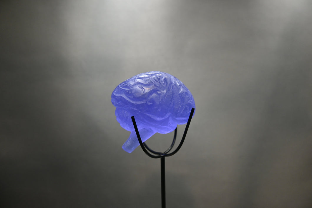 Hand-cast Glass Brain by Anna Boothe