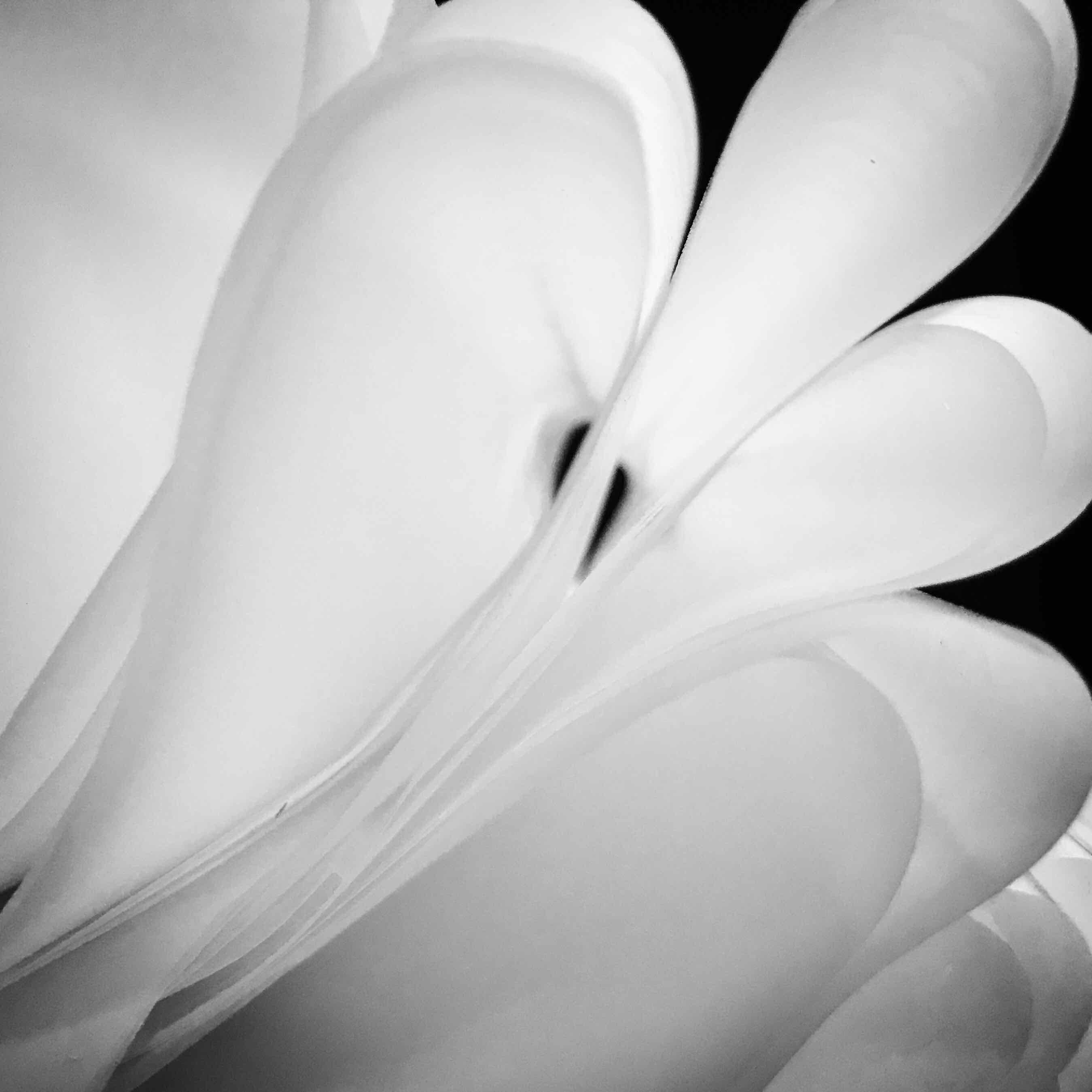 studio piles by Brian David Dennis